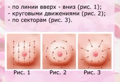 Рекомендации врача Полосухиной Галины по самообследованию молочных желез