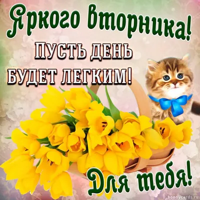 доброеутро #вторник #5сентября #позитив #алвачка #alvachka #топ | TikTok