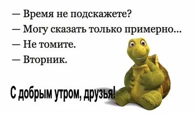 Челлендж «Позитив вокруг» | Новости | Отдел воспитательной работы с  молодежью | Отделы | Структура | Университет | Гродненский государственный  медицинский университет