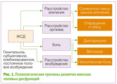 Вульводиния. Грациоттин А, Мурина Ф., под ред.Аполлихиной И.А., Горбуновой  Е.А. (5322746) - Купить по цене от 692.00 руб. | Интернет магазин  SIMA-LAND.RU