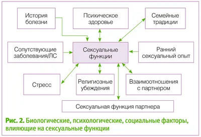 Вульводиния: беда, от которой не спасают гинекологи | Woman.ru | Дзен