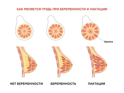 ВЫДЕЛЕНИЯ ПОСЛЕ РОДОВ ЧТО НУЖНО ЗНАТЬ | Лохии после родов норма и  отклонения - YouTube