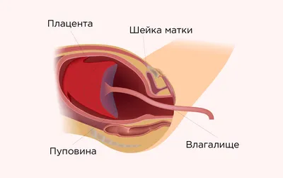 Выделения при беременности | Какие выделения при беременности? | Блог