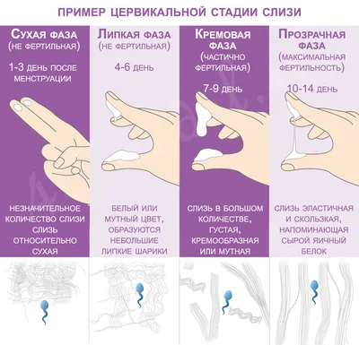 Лечение коричневых выделений из влагалища, диагностика в клинике \"Азбука  Здоровья\" в Химках