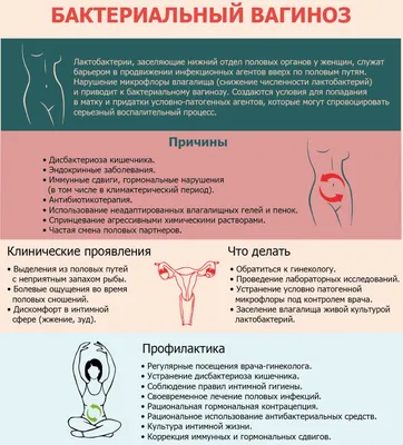 Бактериальный вагиноз - Заболевания ИППП - Минский городской клинический  центр дерматовенерологии