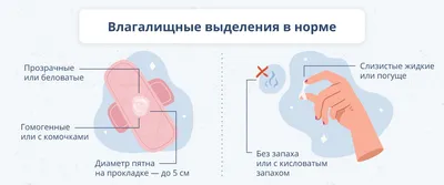 СОВРЕМЕННЫЕ ПРЕДСТАВЛЕНИЯ О БАКТЕРИАЛЬНОМ ВАГИНОЗЕ