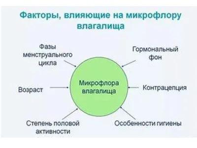 Молочница и бактериальный вагиноз: что это и что делать?