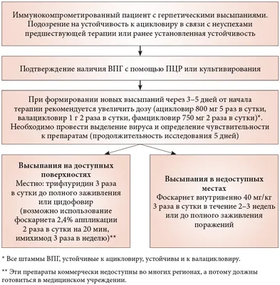 Генитальный герпес. Эстетическая проблема или серьезное заболевание |  Маммолог онлайн | Дзен