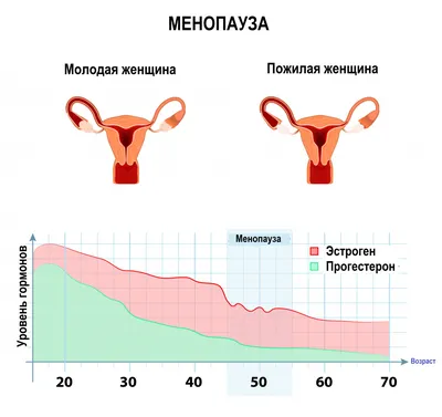 Лучшие свечи от сухости во влагалище при менопаузе: рейтинг топ-5 недорогих  и эффективных средств по версии КП