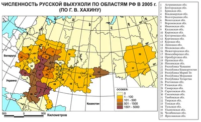 Русская выхухоль / смешные картинки и другие приколы: комиксы, гиф  анимация, видео, лучший интеллектуальный юмор.