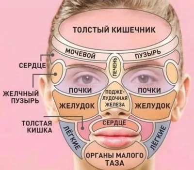 Как состояние желудочно-кишечного тракта влияет на состояние кожи |  Стимбифид Плюс