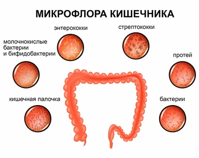 Кожные заболевания - причины, симптомы, диагностика и лечение болезней кожи