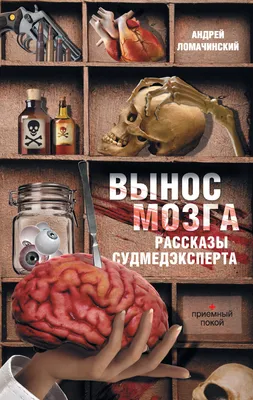 Конфеты Взрыв мозга со вкусом манго 1шт - купить с доставкой по выгодным  ценам в интернет-магазине OZON (671099044)