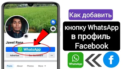 Цифровая версия себя»: в WhatsApp запустили аватары