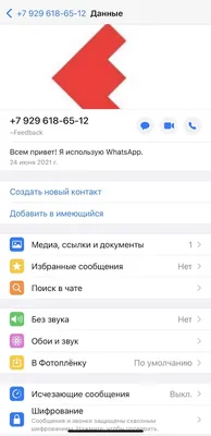 Картинки для профиля whatsapp цветы (68 фото) » Картинки и статусы про  окружающий мир вокруг