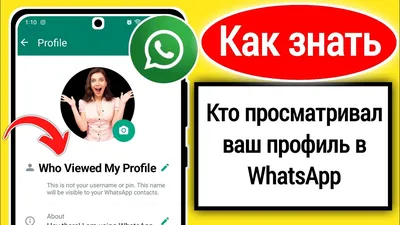 WhatsApp запустил функцию переноса данных c Android на iOS —  Mobile-review.com — Все о мобильной технике и технологиях