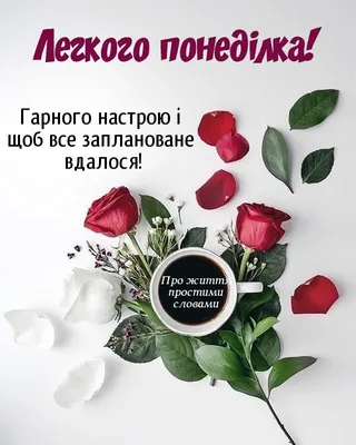 𝑺𝑽𝑬𝑻𝑰𝑲 - ДОБРОГО РАНКУ,МОЇ ЛЮБІ ДРУЗІ! ❤️ВІТАЮ ВАС З ПОНЕДІЛКОМ!❤️  БАЖАЮ ВАМ ВДАЛОГО ПОЗИТИВНОГО ТИЖНЯ! НЕХАЙ ВІН БУДЕ МИРНИМ ТА ЛАГІДНИМ. ХАЙ  СПОКІЙ ТА РАДІСТЬ ОГОРТАЄ ВАШУ ДУШУ,А В СЕРЦІ НАВІКИ ПОСЕЛЯЄТЬСЯ