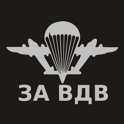 За ВДВ - фотоистории на BFM.ru