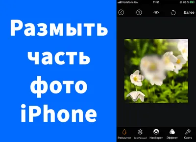 Telegram для iOS крупно обновился. Отправка скрытых фото и видео, публичные  фото профиля и другое