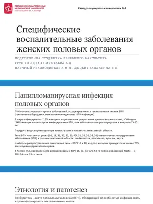 Анатомия женской репродуктивной системы: особенности устройства и функции