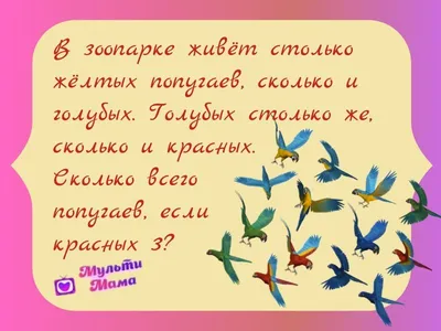 Тест по математике в картинках: попробуйте решить эти 10 задач без  калькулятора - 15 декабря 2022 - НГС