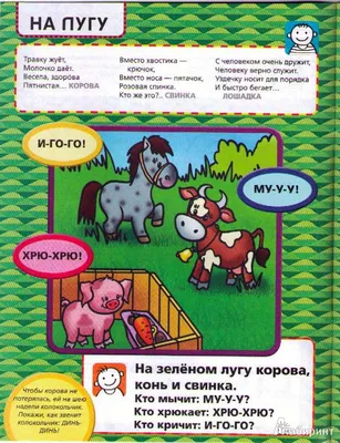 Плакат Виды спорта: 12 развивающих карточек с картинками и загадками для  занятий с детьми - отзывы покупателей на маркетплейсе Мегамаркет | Артикул:  100029226807