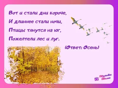 103 загадки про осень с ответами для детей и взрослых