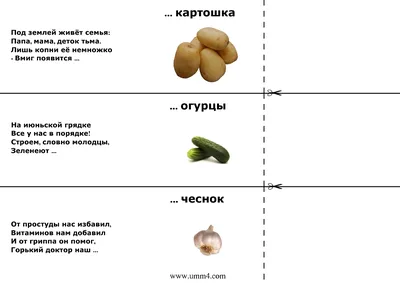Загадки в картинках (овощи). Обсуждение на LiveInternet - Российский Сервис  Онлайн-Дневников