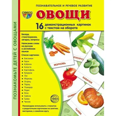 Загадки про овощи — интересные загадки про овощи для детей с ответами