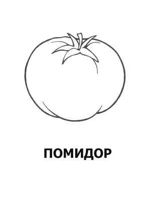 Овощное лото». Игра с загадками про овощи - купить книгу с доставкой в  интернет-магазине «Читай-город».