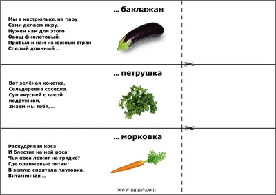 Лэпбук «Овощи» (9 фото). Воспитателям детских садов, школьным учителям и  педагогам - Маам.ру