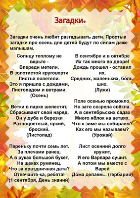 202 загадки с подвохом с ответами смешные для детей и взрослых