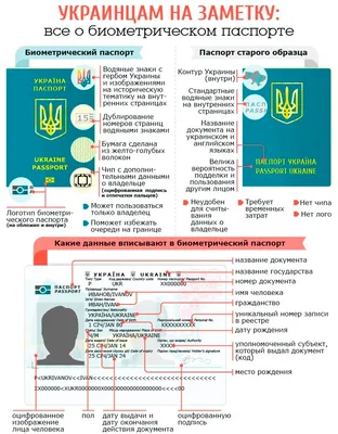 Виды загранпаспортов 🧧 Нового и старого образца. Отличия и цена