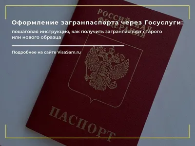 МВД: если человек отказался от загранпаспорта нового образца, то ему вернут  пошлину | «Красный Север»