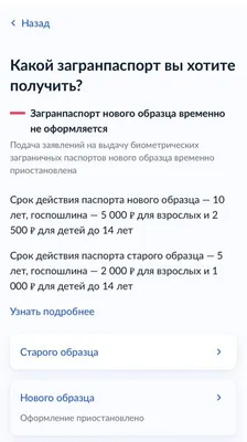 В России приостановили выдачу загранпаспортов нового образца