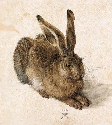 Иллюстрация Акварельный реалистичный заяц в стиле живопись |