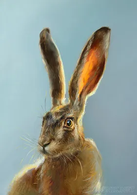 Иллюстрация Осенний заяц в стиле живопись | Illustrators.ru