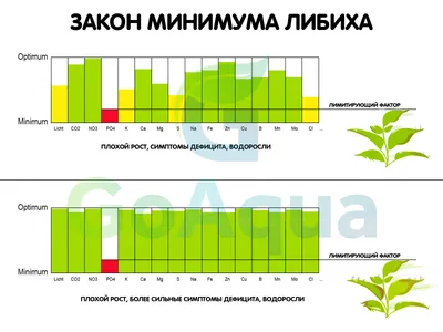 Изменения в законе об интернет-рекламе — Новый закон о маркировке от 1  сентября 2022 — Онлайн-журнал банка Точка