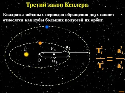 Как будет действовать новый миграционный закон? Отвечает адвокат по  миграционному праву - OstWest TV