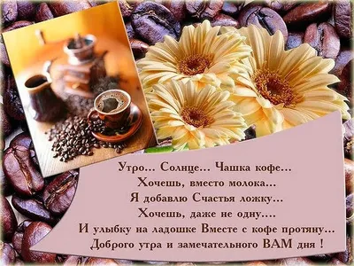 Доброе утро и замечательного дня, друзья!😘 В нашей семье все любят цветы,  даже коты. (Сейчас у Машутки два котенка). А Мисо еще и… | Instagram