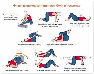 13 упражнений из йоги для исправления сколиоза - Лайфхакер