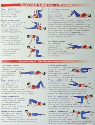 Упражнения для спины: самый полный список