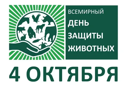 Поправки к Закону о защите животных расстроили латвийских зоозащитников |  Nasha