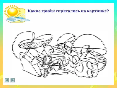 Альбом. Готовимся к школе с нейропсихологом - купить с доставкой по Москве  и РФ по низкой цене | Официальный сайт издательства Робинс