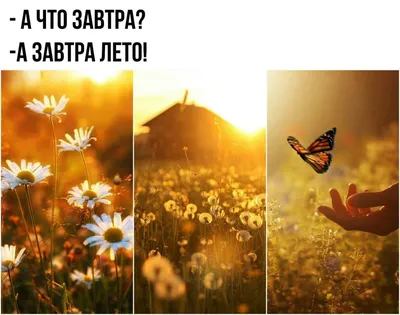 Сегодня лето, завтра лето, послезавтра лето💛⛱️! А летом можно позволить  себе все😉. Сделайте приятное! Закажите себе цветы из нашей новой… |  Instagram