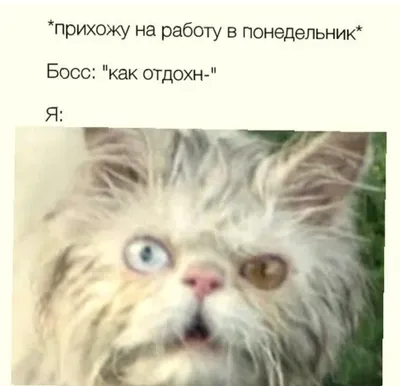 Ты ведь все равно выйдешь завтра на работу, да?» - 7 смешных комиксов про  начальников от разных авторов | Смешные картинки | Дзен