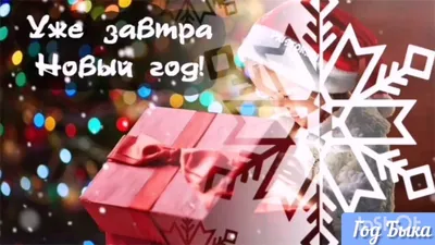 Поздравляю Вас!🙌 Завтра Новый Год! 🎄🎅☃️❄️🌟💃 - YouTube