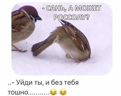 новыйгод #рекомендации❤️ | TikTok