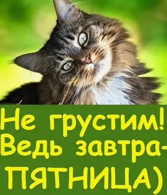 ❤ Ура-а-а завтра пятница ,пятница, пятница, пятница. ❤ Скидка 20%!!! ❤  Скидка за наличный и безналичный расчет!!! ❤ Ждем Вас в… | Instagram