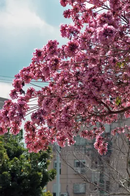 Фитнес для мозга - Весна, которая начинается с выходных - хорошая весна  🌸💐 | Facebook